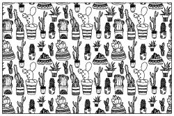 Cactus Collage