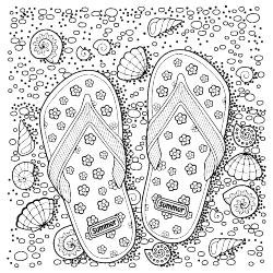 Summer Sandals